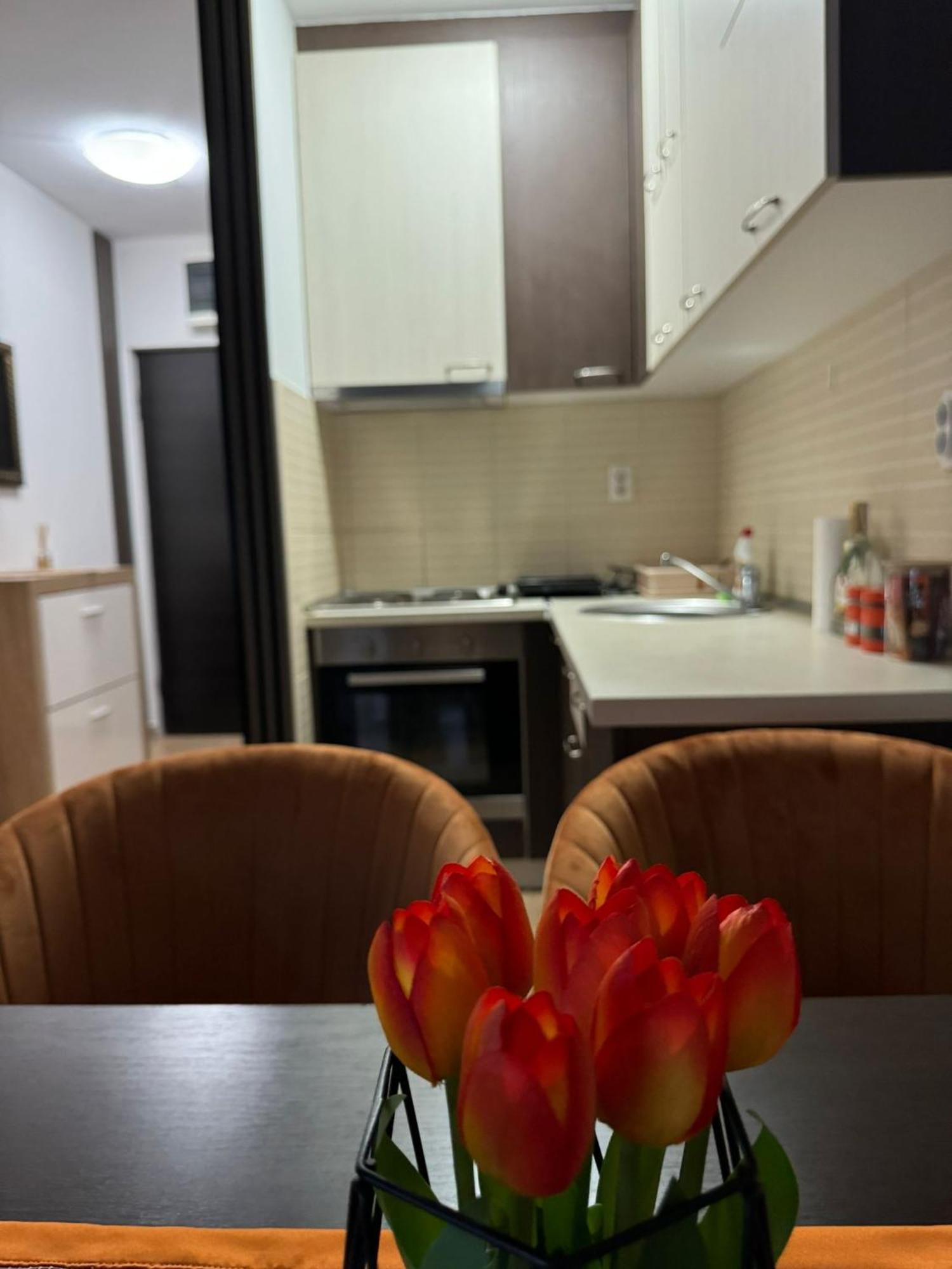 Stan Na Dan Aurora Apartment Pozarevac Ngoại thất bức ảnh