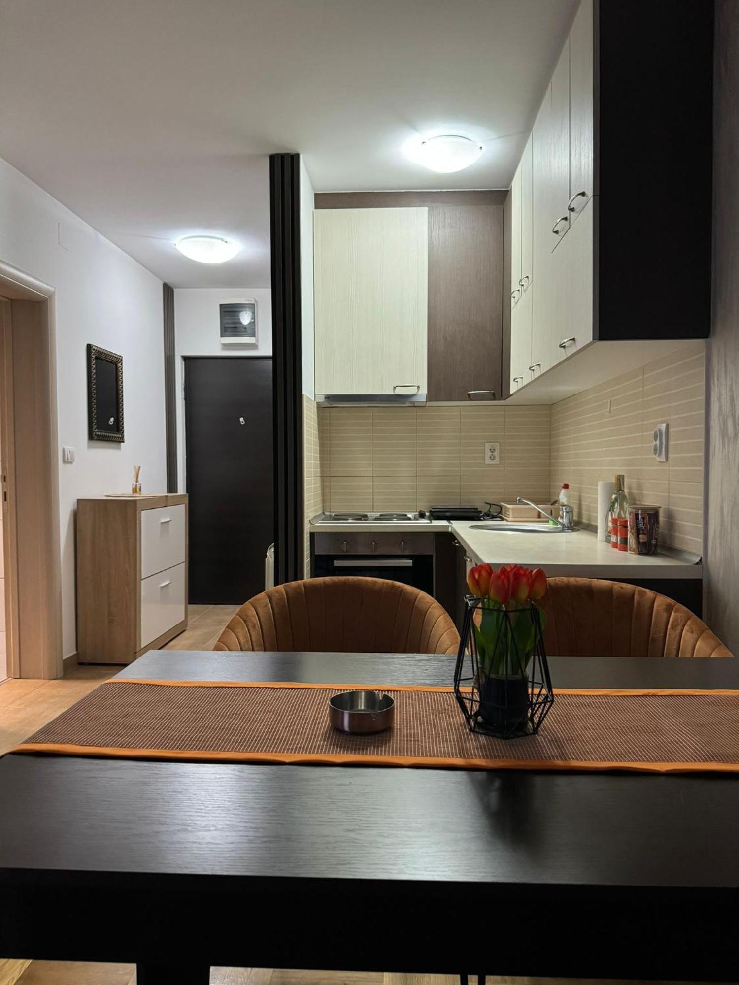 Stan Na Dan Aurora Apartment Pozarevac Ngoại thất bức ảnh