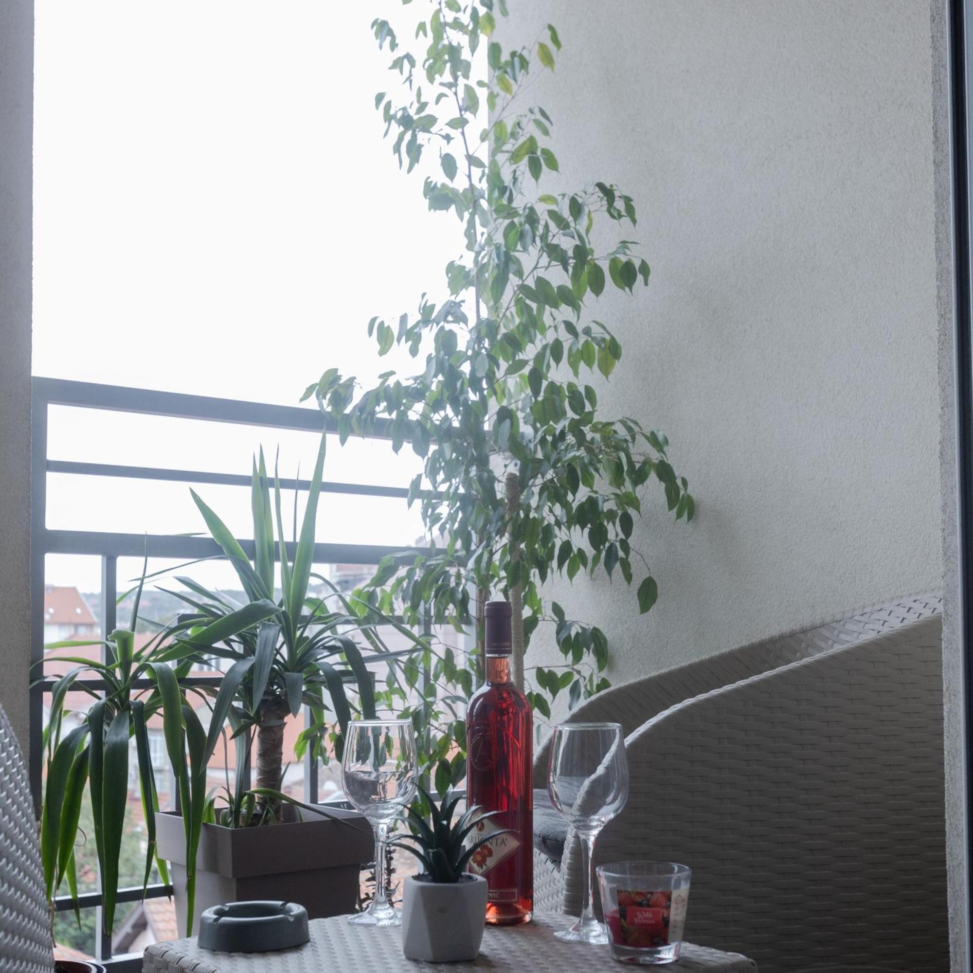 Stan Na Dan Aurora Apartment Pozarevac Ngoại thất bức ảnh
